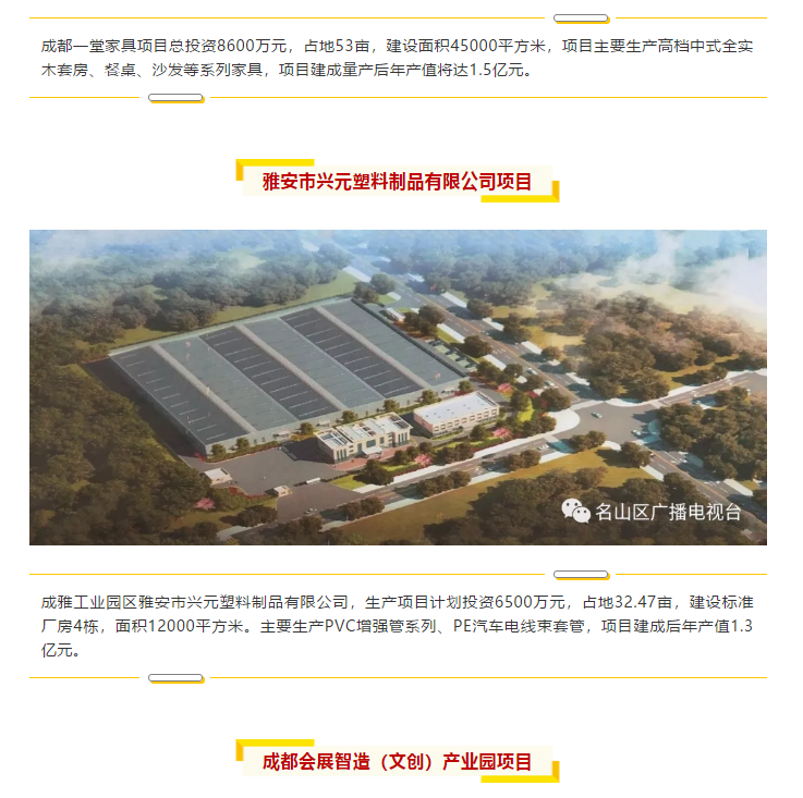 總投資157.1億元！四川省2019年第一季度重大項目集中開工儀式雅安分會場在成雅工業(yè)園區(qū)舉行(圖6)